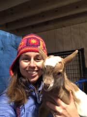 Goat ❤️ At my mom’s farm