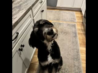 Murphy makes so many faces. Especially when you talk to him.