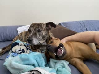 More snuggles