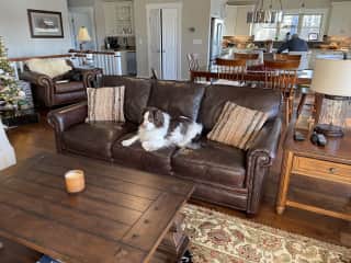 Sawyer thinks the couch is his