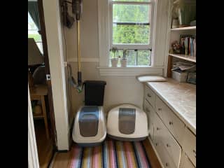 Cat litter station, just in between the living room and the kitchen. Dyson vacuum hanging on wall.