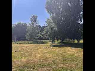 More garden