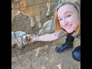 I love farm animals, I grew up in rural NC, anytime I see open fields with cows and goats, I'm so happy.