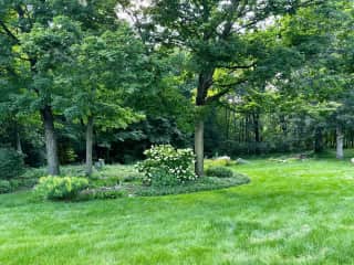 A view of a portion of the backyard.