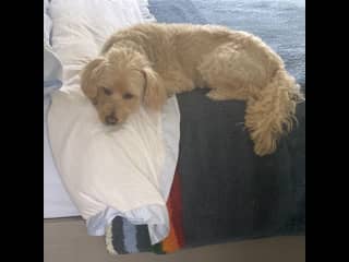 Waiting to snuggle