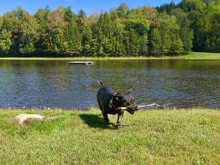 I LOVE to chase any thrown toy, stick or ball. And I am quite an excellent swimmer!