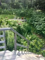 Gardens and stone patio