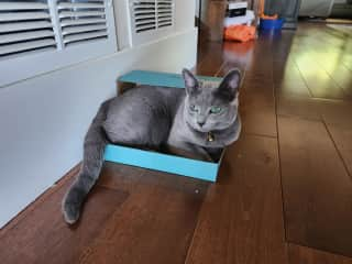 If I fits, I sits