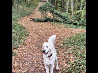 On a local nature walk.