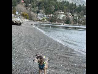 On the beach in front of our home