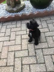 Bertie...