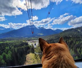 Kyna descending down from the Zugspitze (tallest mountain in Germany)