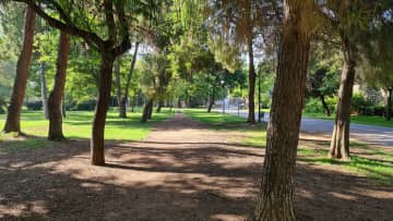 Turia Park - about 10 minutes walk from the house.