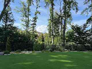 Backyard, showing lush green coming up from creek.