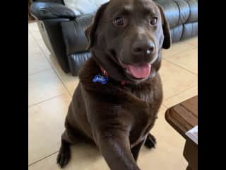 Milo is a beautiful boy ❤️