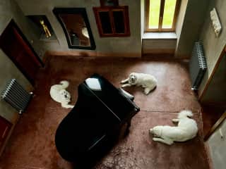 Visiting in the farmhouse