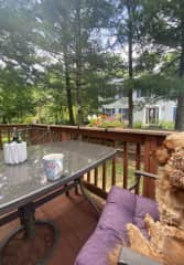 Ralph loves to sit with you for a morning coffee to watch the birds in the yard.