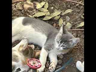 Zeus when he was a bit smaller with Athena