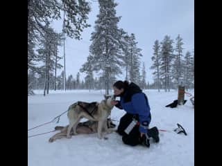 Getting husky kisses in Lapland is a memory I’ll never forget!