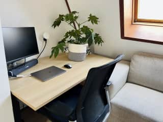 Monitor available to use