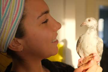 This young pigeon had a broken wing. She became a family member until she could fly again