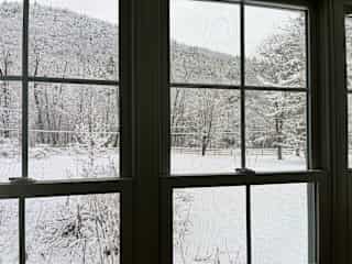View from the sunroom, just off the bedroom