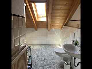 The attic apartment bathroom. There's a shower around that corner, and it is well stocked with any toiletries a housesitter may need.