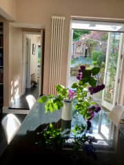 Kitchen looking out to garden