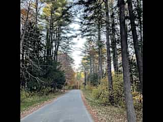 the road we live on.