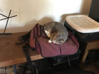 Our luggage is her bed, first day.