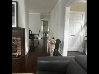 Looking into the office