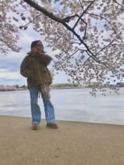 Visiting the beautiful cherry blossoms!