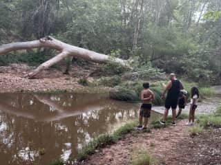 Exploring East Verde River! We caught craw dads and I was in shock I had such skill puncturing worms ;)