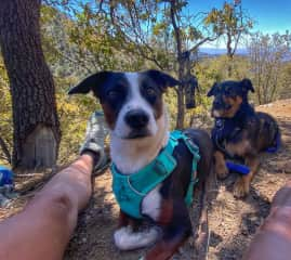 Aluna & Aria taking in the view at the summit