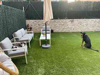 Chilling area