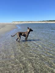 The beach - her happy place!