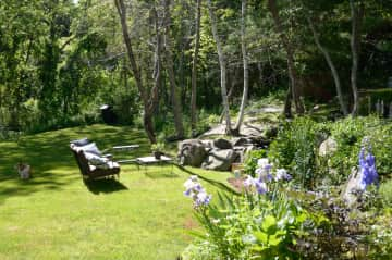 Lower backyard and koi pond