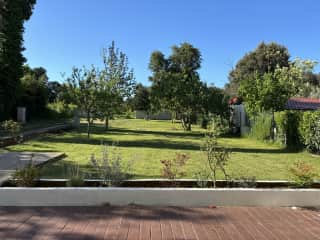 The garden from the house.