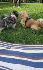 Dojo and Friend!