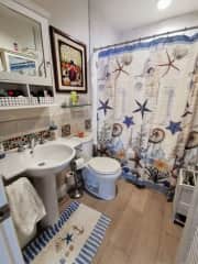 Guest bathroom