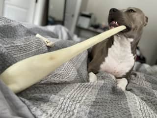 I got a treat…