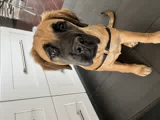 "I want food!"