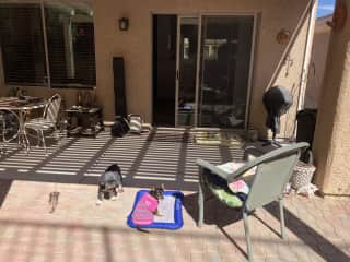 Backyard outdoor patio where dogs love to sunbathe!