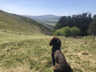 Local countryside walk