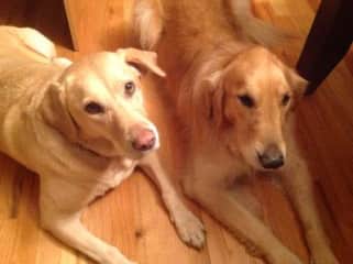 Max & Maya we miss them so much