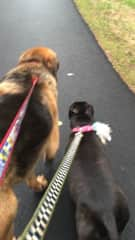 Walking together