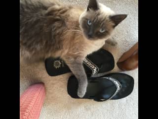 These are MY shoes!!