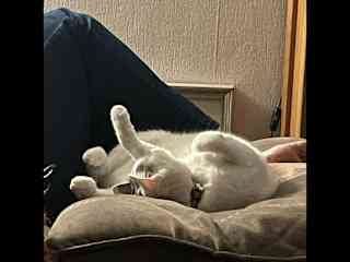 Daisy practising chilling out