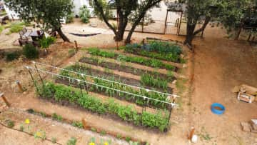 The main garden on the property.