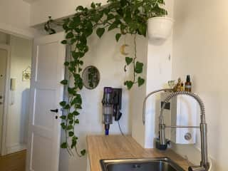 Kitchen and hallway